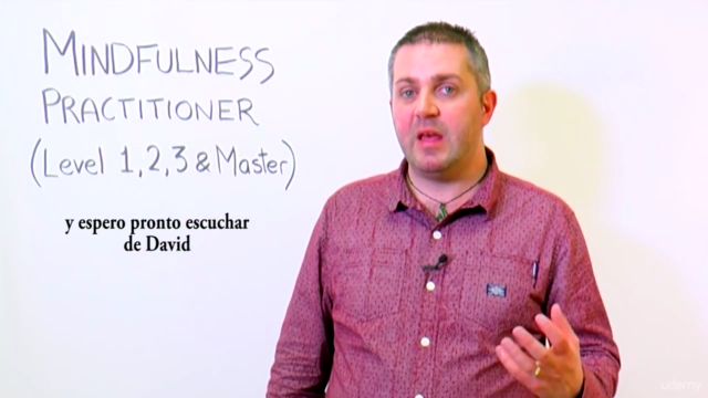 Curso Certificado de Mindfulness (Niveles I II III & Master) – Screenshot 4