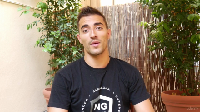 Componentes en Angular - nivel PRO (Angular 2/4/5/6/7+) – Screenshot 1