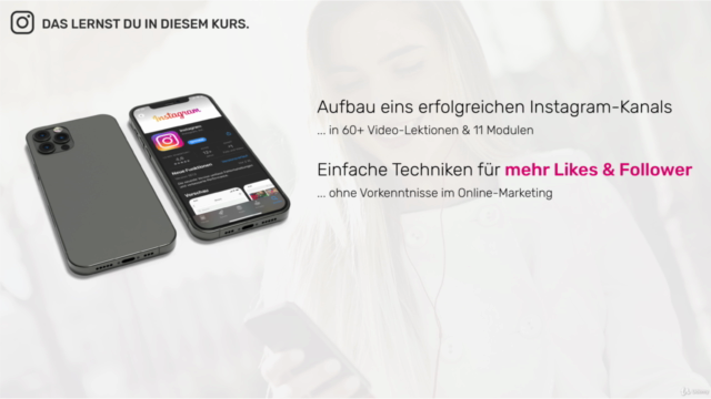 Der ultimative Instagram Kurs 2025: Endlich mehr Follower! – Screenshot 2