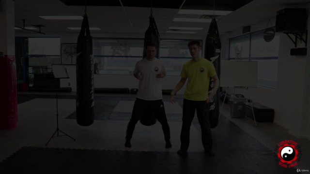 Wing Chun Self Defence FREE - Wing Chung Street Fighting - Screenshot_02
