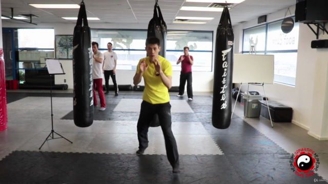 Wing Chun Self Defence FREE - Wing Chung Street Fighting - Screenshot_03