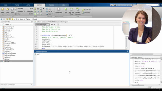 Matlab für Studenten, Ingenieure und Naturwissenschaftler – Screenshot 1