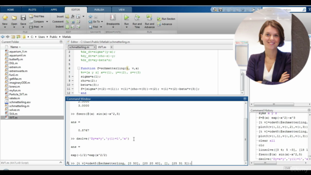 Matlab für Studenten, Ingenieure und Naturwissenschaftler – Screenshot 2