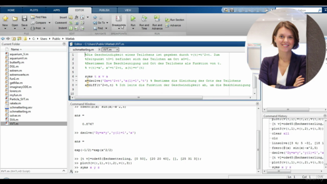 Matlab für Studenten, Ingenieure und Naturwissenschaftler – Screenshot 3