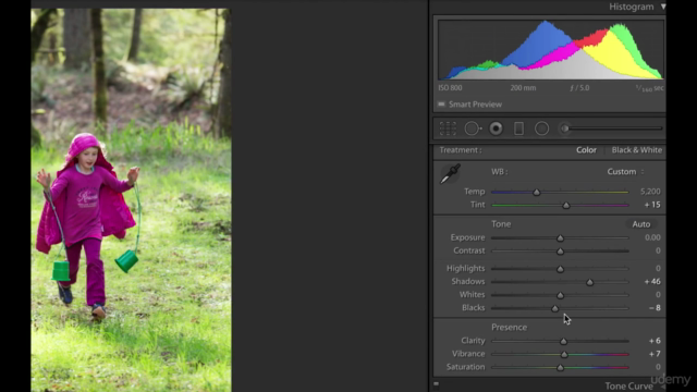 Adobe Lightroom for Beginners – Screenshot 2