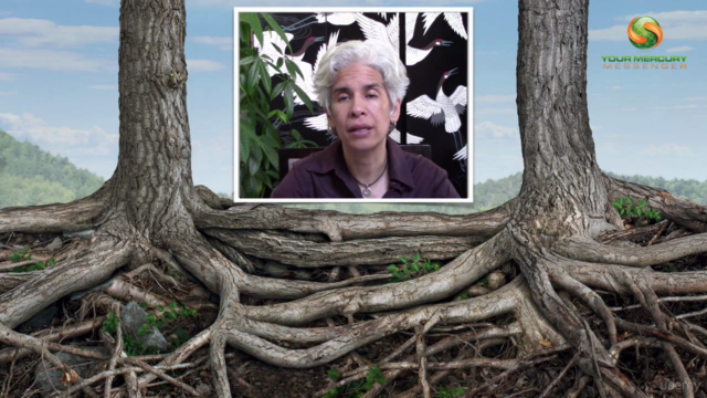 Learn Vedic Astrology Part 2 – Screenshot 4