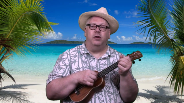 Beginner's Ukulele - Twinkle Twinkle - Become A Star! – Screenshot 2