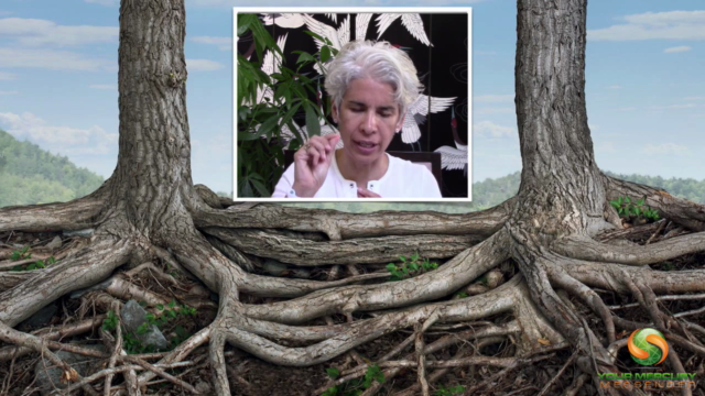 Learn Vedic Astrology Part 3 – Screenshot 4