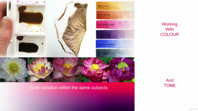 Paint Realistic Watercolour and Botanicals - LOTUS – Screenshot 4