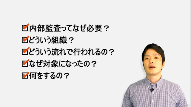 超軟 やさしい内部監査入門 – Screenshot 3