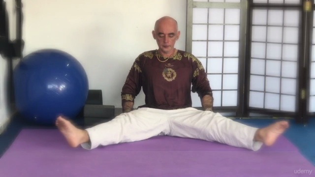 Curso básico de Yoga para iniciantes – Screenshot 1