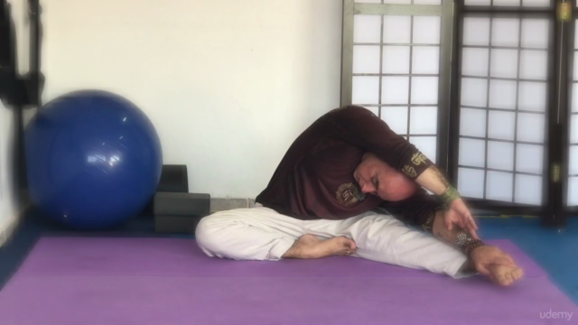 Curso básico de Yoga para iniciantes – Screenshot 2