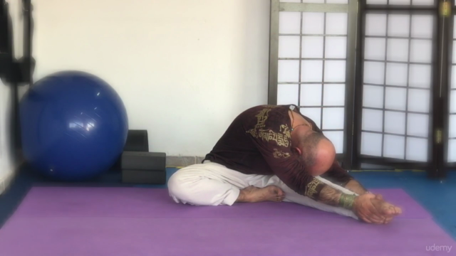 Curso básico de Yoga para iniciantes – Screenshot 3