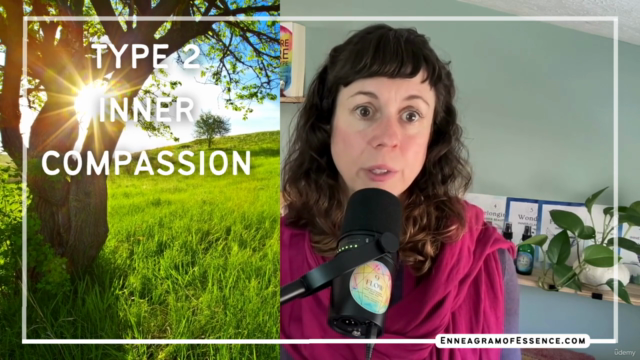Enneagram of Essence Certification – Screenshot 2