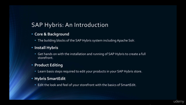 Introduction to SAP Hybris – Screenshot 3