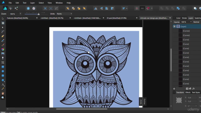 Affinity Designer: A Comprehensive Guide for Beginners – Screenshot 3