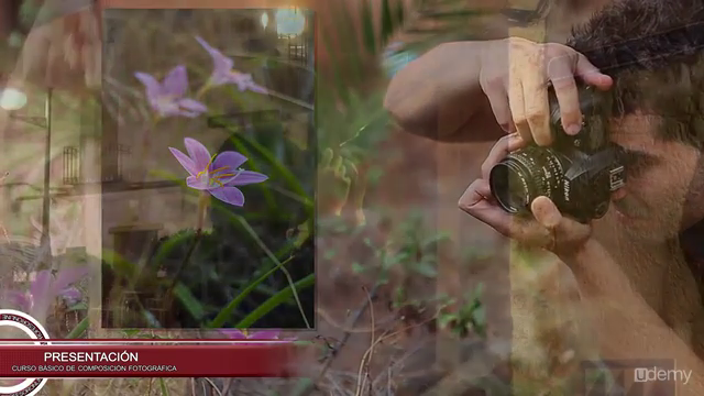 Básico de composición fotográfica – Screenshot 1