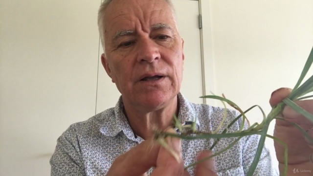 Propagation of ornamental plants – Screenshot 3