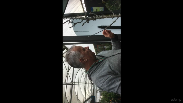 A beginners guide to pruning and training plants – Screenshot 1