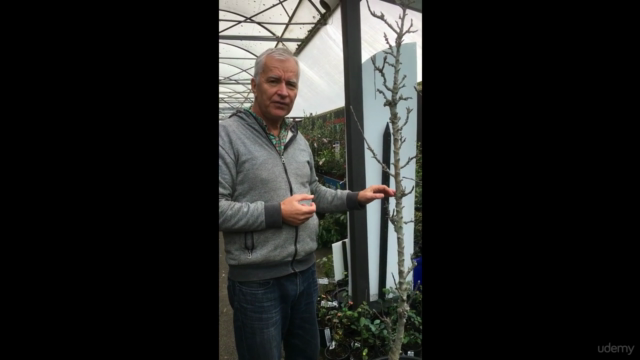A beginners guide to pruning and training plants – Screenshot 2