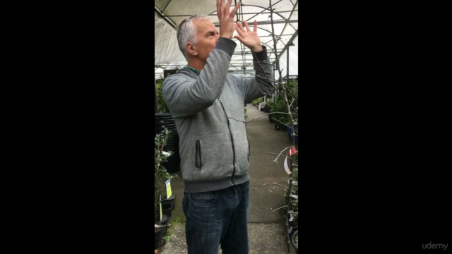 A beginners guide to pruning and training plants – Screenshot 3