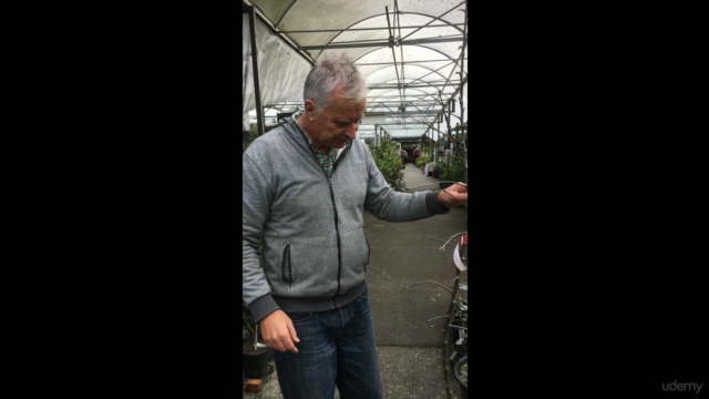 A beginners guide to pruning and training plants – Screenshot 4