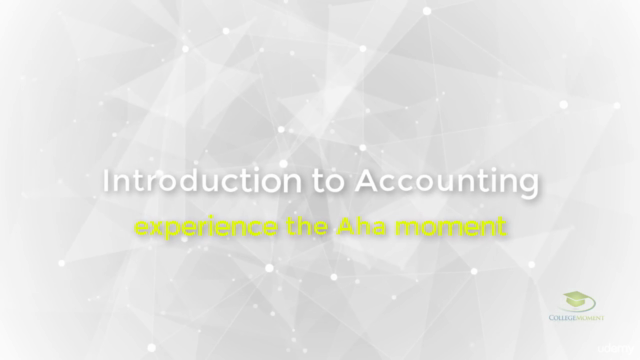 Introduction to Accounting in 1 hour - Free ebook included! - Screenshot_03
