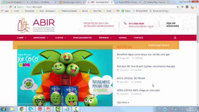 Curso Completo: Como Criar Sites Profissionais no WordPress – Screenshot 3