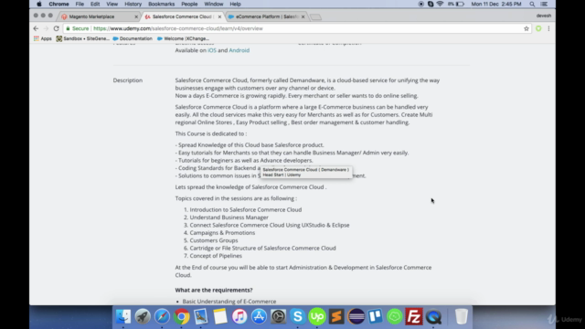 Salesforce Commerce Cloud ( Demandware ) Head Start – Screenshot 2