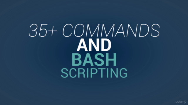 Linux Command Line Interface and BASH Scripting – Screenshot 2