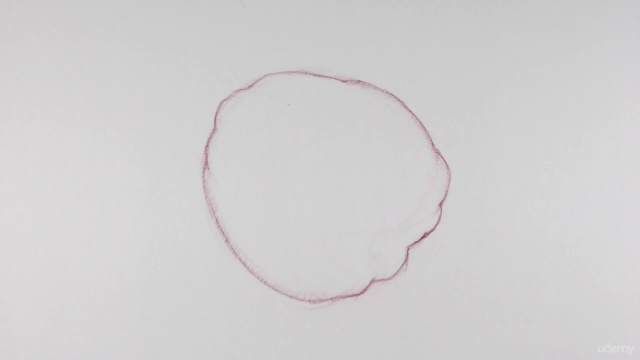 The Art & Science of Drawing / CONTOURS – Screenshot 1