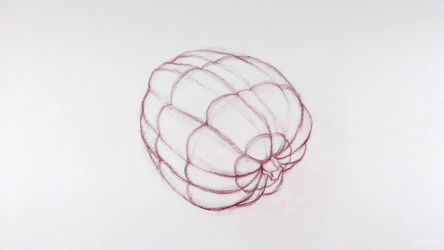 The Art & Science of Drawing / CONTOURS - Screenshot_02