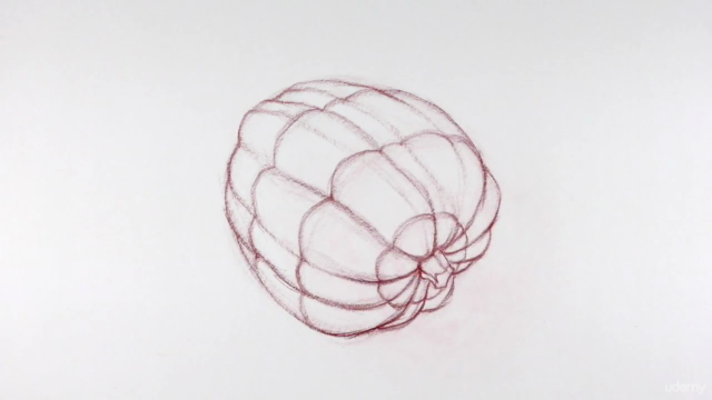 The Art & Science of Drawing / CONTOURS – Screenshot 2