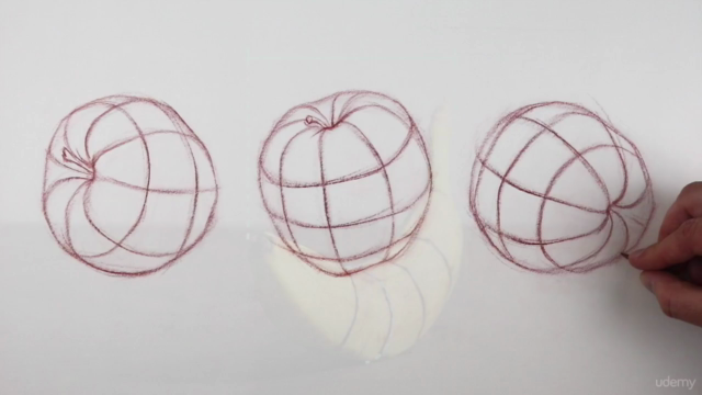 The Art & Science of Drawing / CONTOURS – Screenshot 3