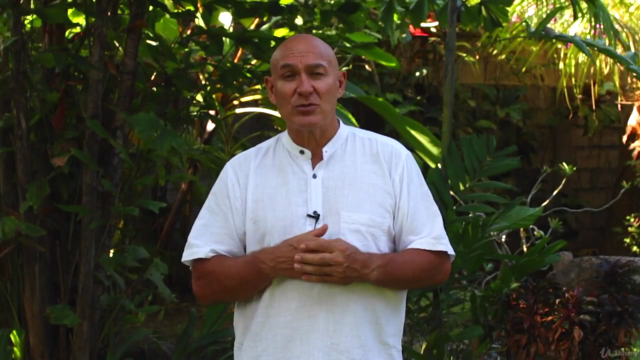 Learn Advanced Qigong to Give You Instant Power & Strength – Screenshot 2