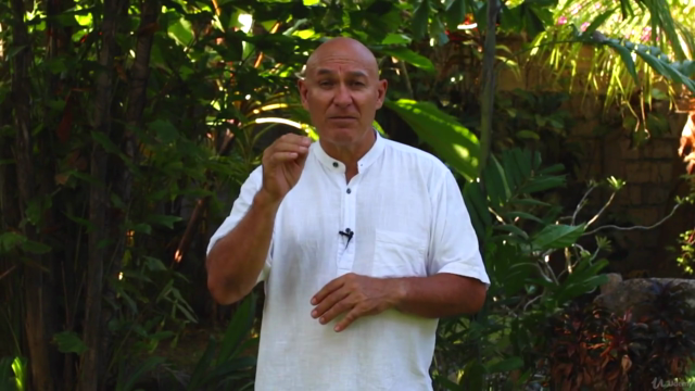 Learn Advanced Qigong to Give You Instant Power & Strength – Screenshot 3