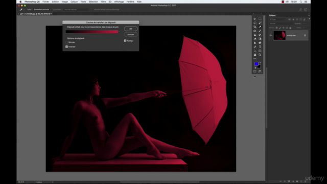 Photoshop : Guide complet - débutant & intermédiaire – Screenshot 3