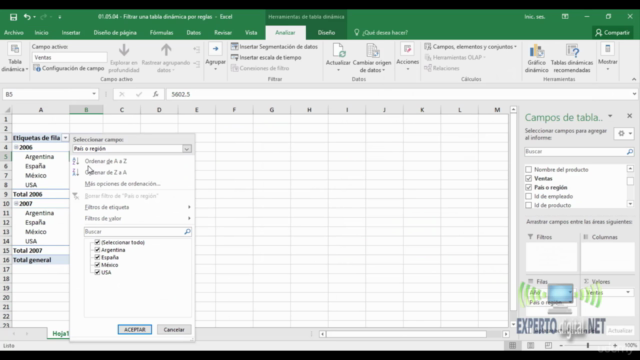 Experto en Tablas Dinámicas – Screenshot 2