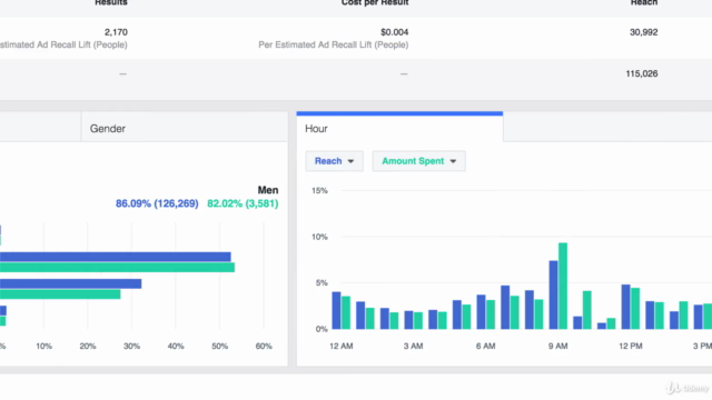 Digital Marketing with Google Ads & Facebook 4 entrepreneurs – Screenshot 4
