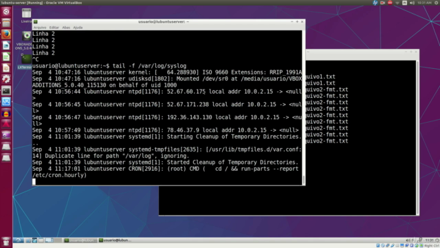 Terminal Linux, Shell Scripting e Gerenciamento de Redes – Screenshot 1