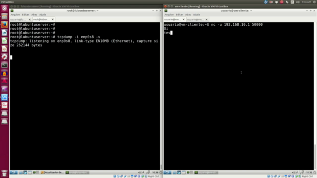 Terminal Linux, Shell Scripting e Gerenciamento de Redes – Screenshot 3