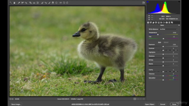 Adobe Bridge CC and Adobe Camera Raw for Beginners – Screenshot 1