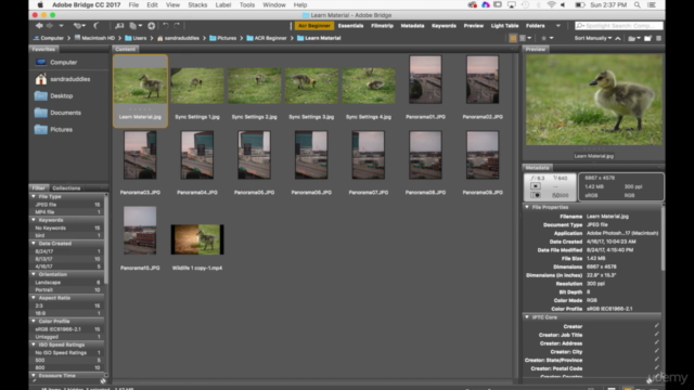 Adobe Bridge CC and Adobe Camera Raw for Beginners – Screenshot 2