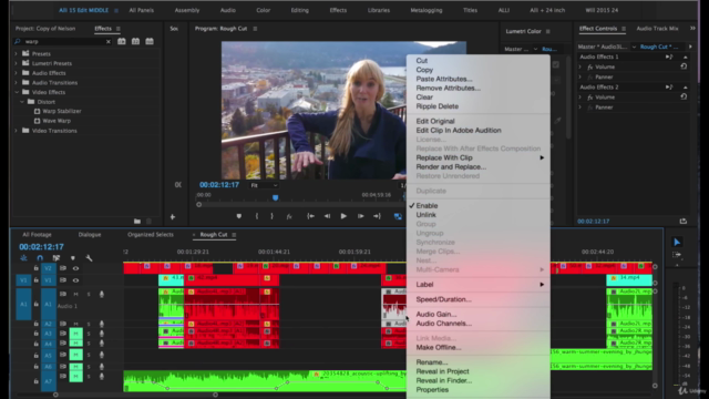 Adobe Premiere Pro CC: Complete A Video Editing Project – Screenshot 4