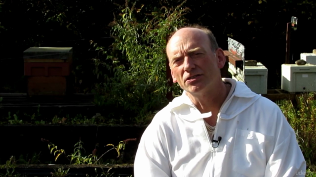 Background to Beekeeping: Start with Why! – Screenshot 1