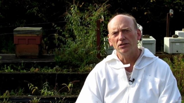 Background to Beekeeping: Start with Why! – Screenshot 2