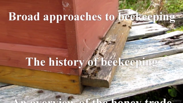 Background to Beekeeping: Start with Why! – Screenshot 3
