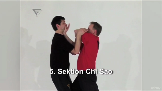 WT-Kampfkunst (Lehrerprogramm 3) – Screenshot 1
