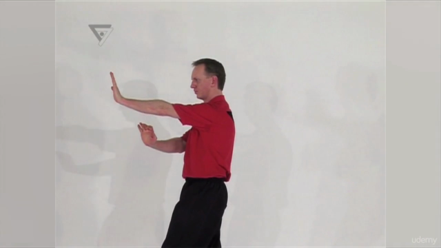 WT-Kampfkunst (Lehrerprogramm 3) – Screenshot 4
