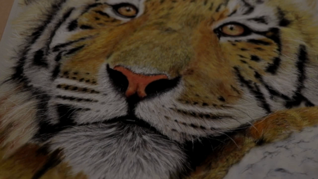 Realistic Animals with Pastels – Screenshot 1